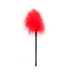 Ouch! Plumeau Plume -SexToys Soldes Boutique ouch feather 2